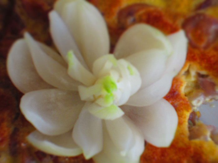 Киш с карамелизированным луком