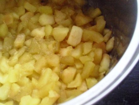 &amp;quot;Тапки&amp;quot; с яблоками