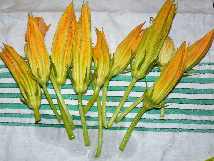 Омлет с цветками цукини