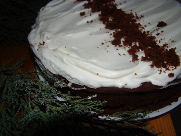 Мексиканский шоколадный кекс