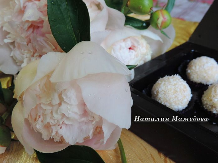 Кокосово-кунжутные конфеты