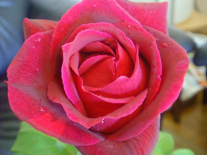 Летний ягодный тарт и ягодный сорбе