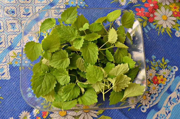Тарталетки &amp;quot;Вкусный пикник&amp;quot;