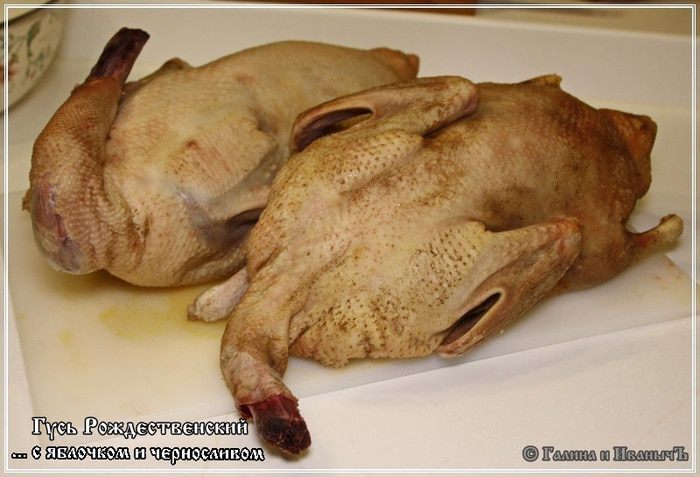 Гусь с яблочком и черносливом &amp;quot;Рождественский&amp;quot;