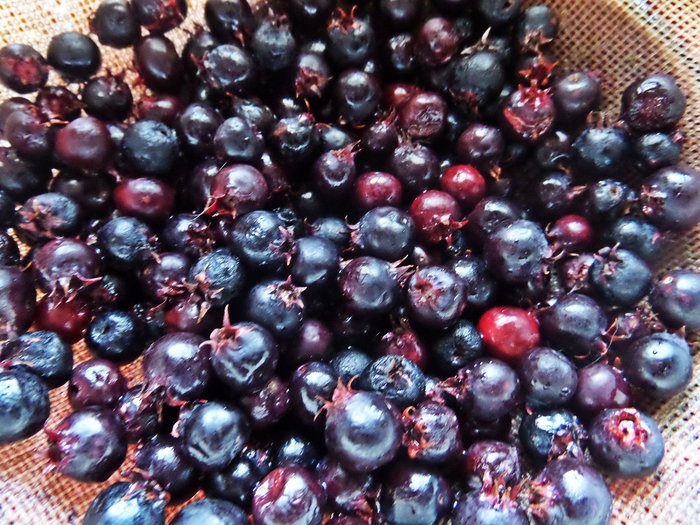 Хлебная шарлотка «Яблочно-ягодная» 