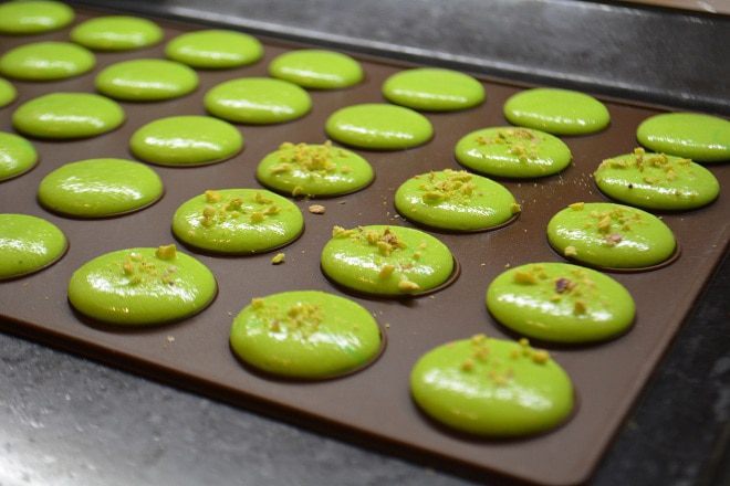 Фисташковый Macarons