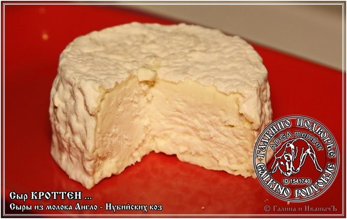 Сыр Кроттен из молока англо-нубийских коз