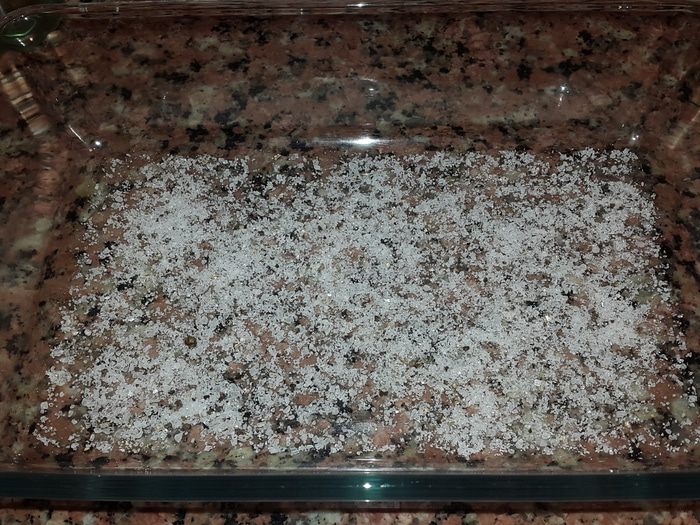 Лосось малосольный