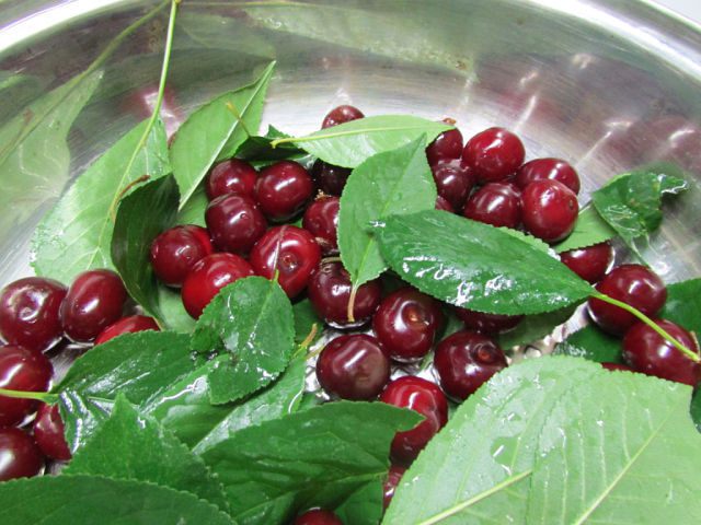 Наливочка для дам &amp;quot;Ой, девоньки!&amp;quot;