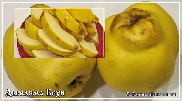 Дымляма Бехи