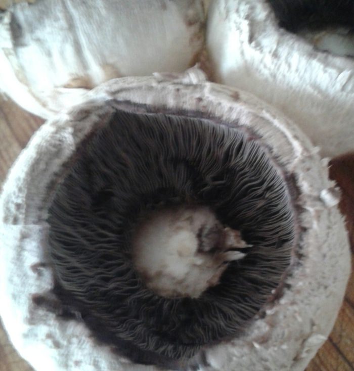 Картофель, запеченный с красным луком и фаршированными грибами