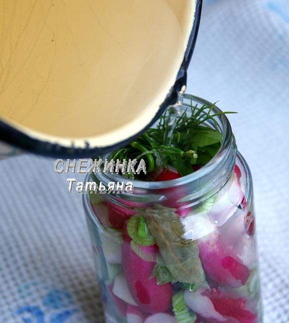 Редис маринованный с зеленым луком