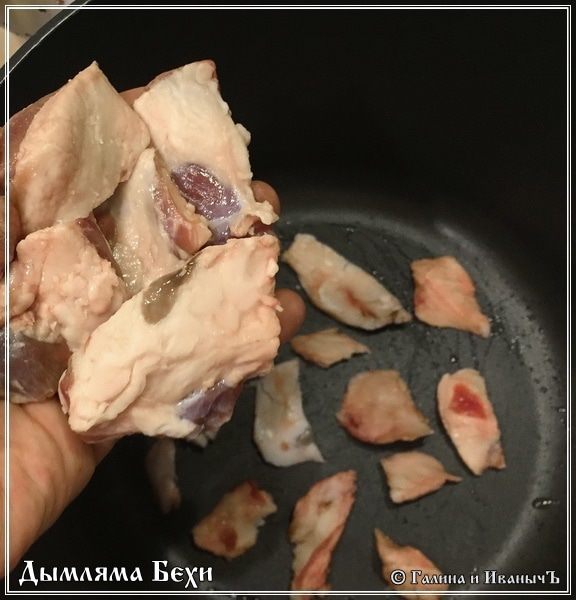 Дымляма Бехи