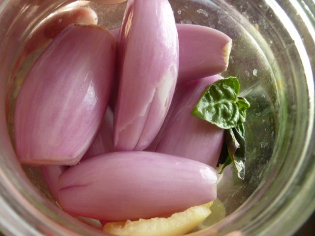 Маринованный лук с перцем и базиликом