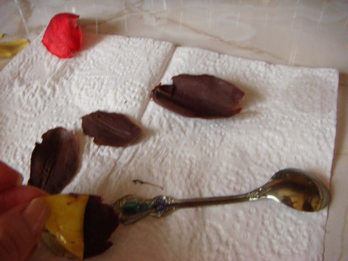 Торт &amp;quot;Шоколадные тюльпаны&amp;quot;