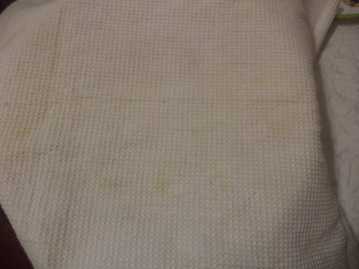 Пряный медовик с ореховой начинкой и масляным кремом