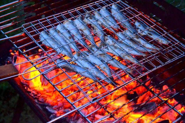 Салака-гриль - &amp;quot;сладкая&amp;quot; рыбка