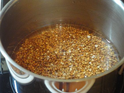 Гречневик с курагой