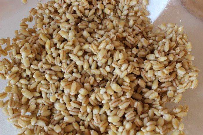 Перлотто с белыми грибами