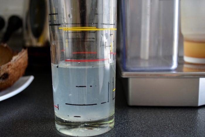 Фруктовый салат с кокосовым соусом