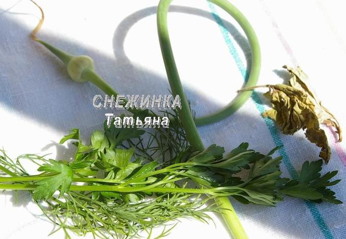 Консервированная красная смородина