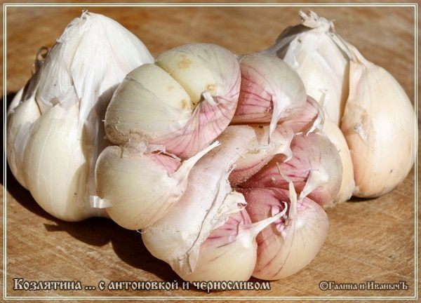 Козлятина с яблочком антоновским и черносливом