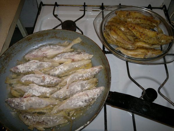 Жареный ерш-носарь