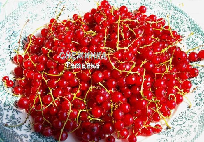 Консервированная красная смородина