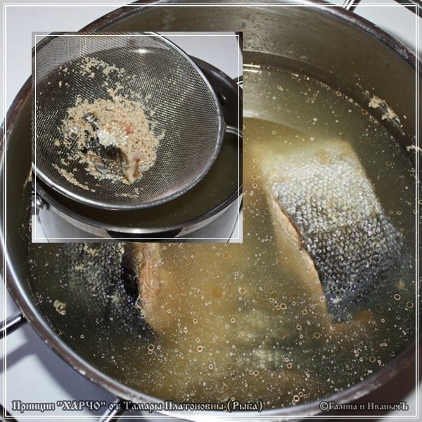Харчо из рыбы по принципу Сулаквелидзе