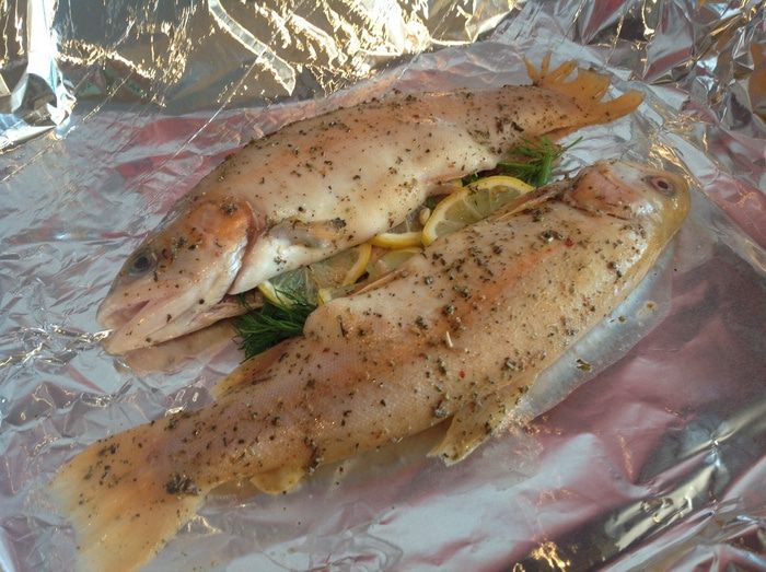 Форель янтарная