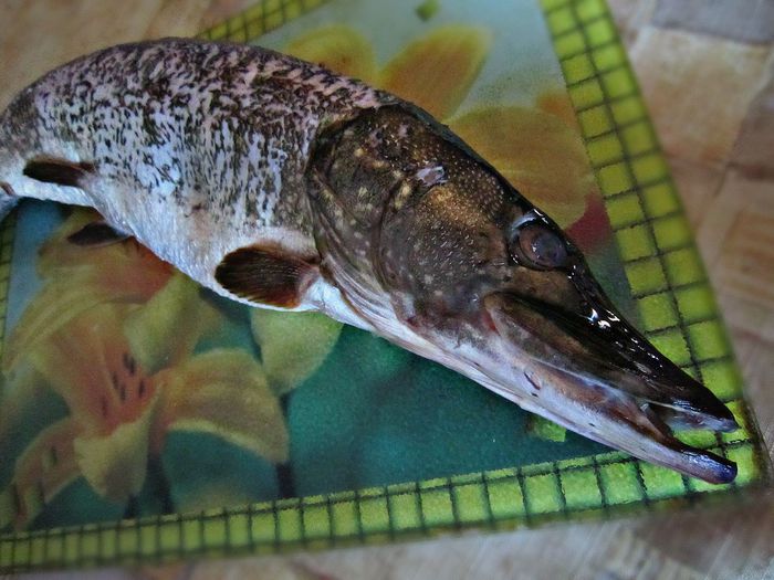 Праздничная фаршированная щука &amp;quot;По щучьему веленью&amp;quot;