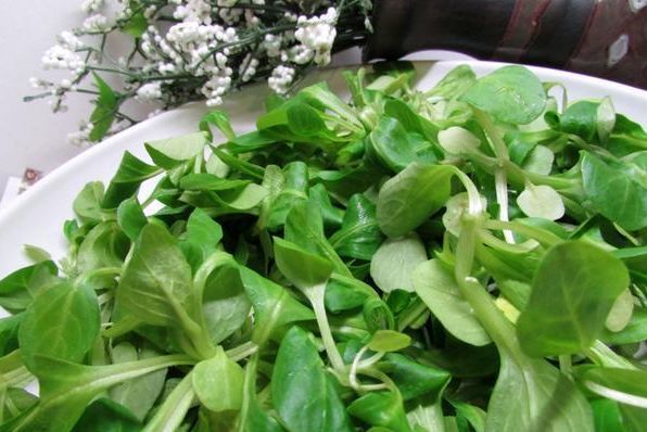 Зеленый салат с авокадо