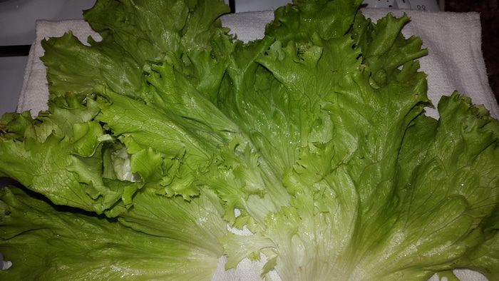 Кальмары в кляре с постно-чесночным соусом