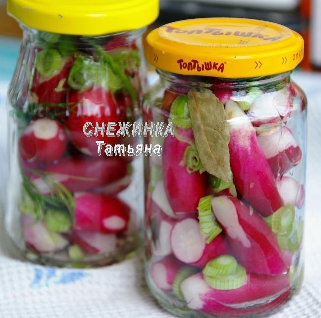 Редис маринованный с зеленым луком