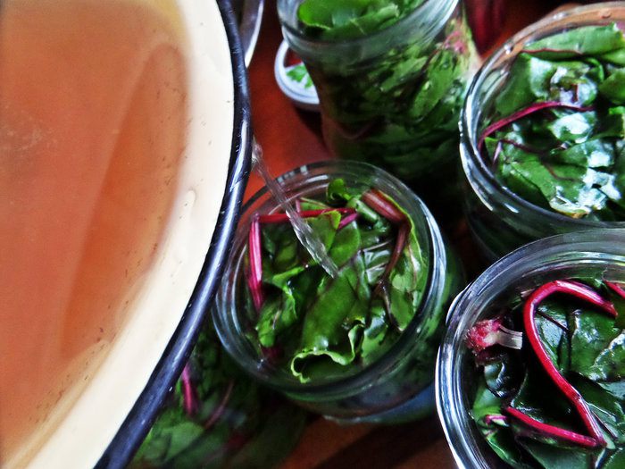 Маринование свекольных стебельков