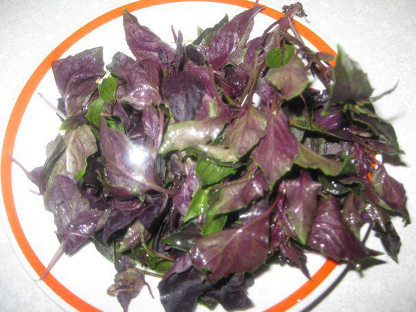 Бальзамический уксус