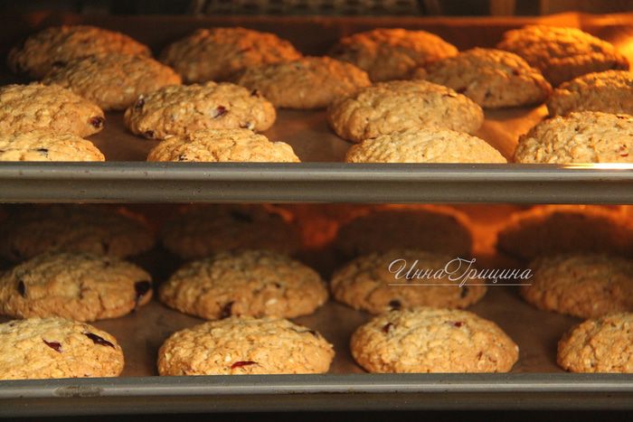 Овсяное печенье с вяленой клюквой