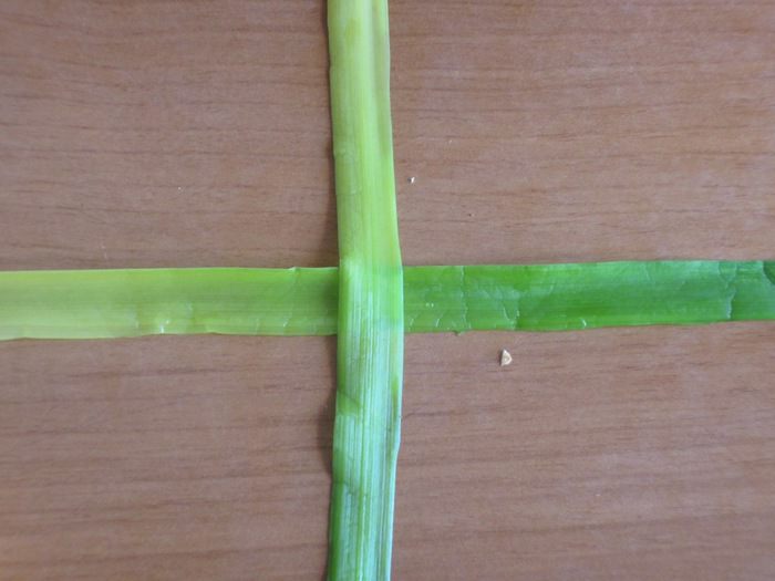 Фаготтини с лососем и луком пореем