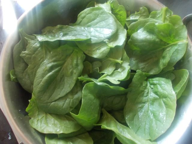 Киш с семгой, двумя видами сыра и прованскими травками