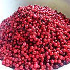 Бисквитные блины с брусникой