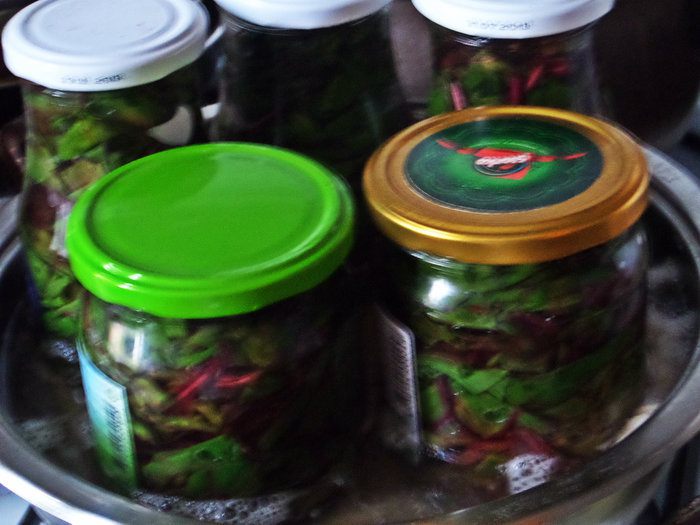 Маринование свекольных стебельков