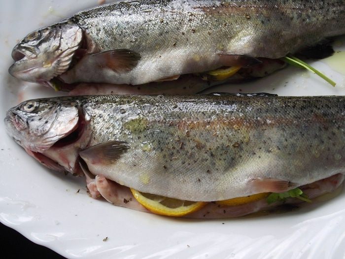 Форель с пряными травами и лимоном