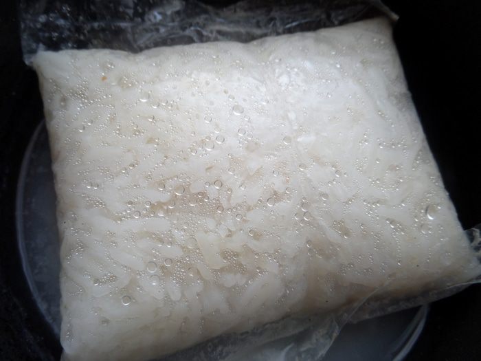 Закрытый пирог с рисом и курицей