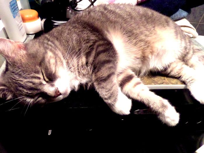 Рождественские сапожки из колбасок