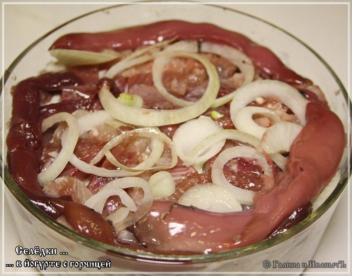 Селедка в йогурте с горчицей