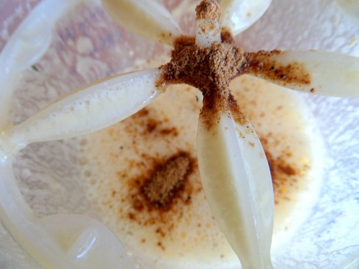 Картофель по-французски (au gratin)