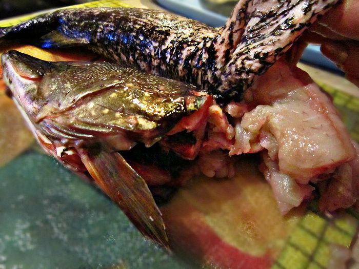 Праздничная фаршированная щука &amp;quot;По щучьему веленью&amp;quot;