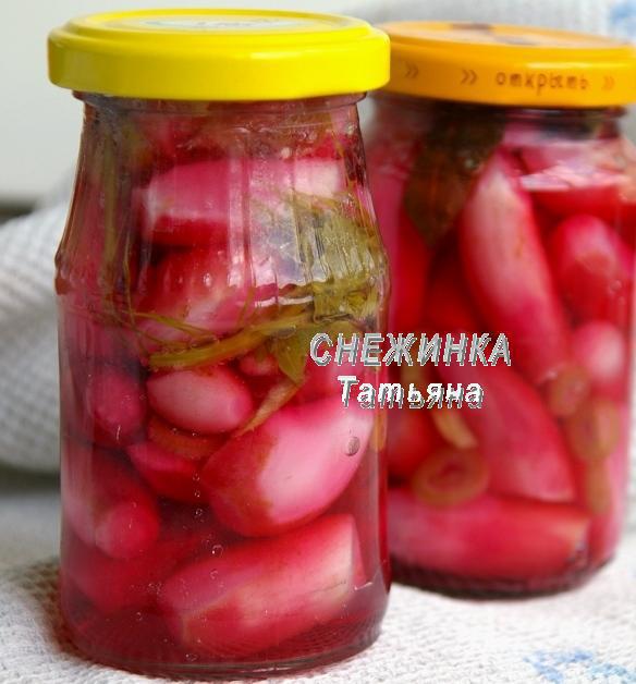 Редис маринованный с зеленым луком