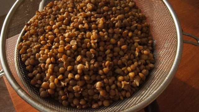 Теплый  салат с чечевицей