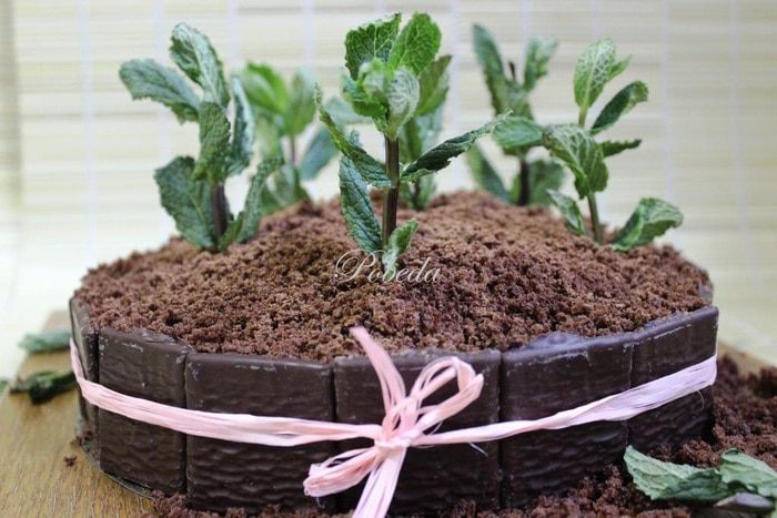 Шоколадно-мятный торт